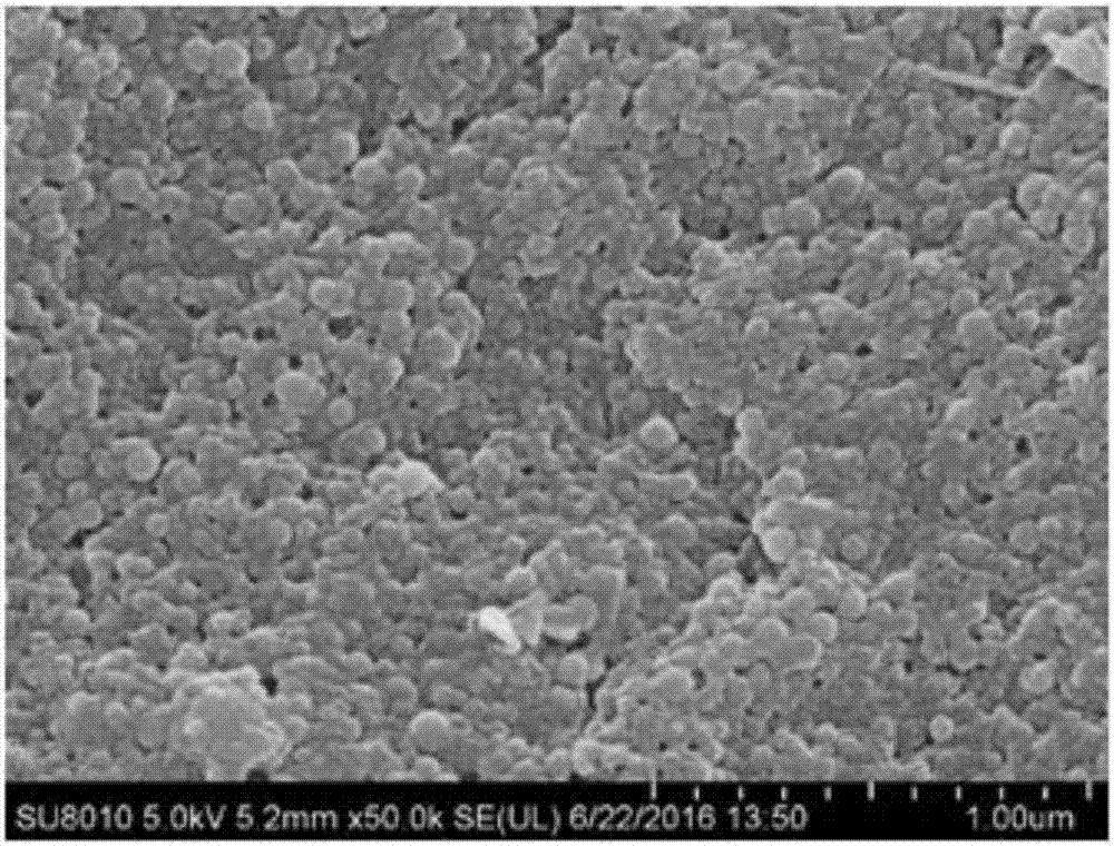 Zein-lecithin-curcumin composite colloidal particle and preparation thereof