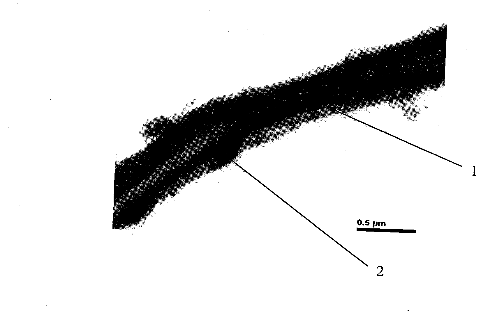 Core-shell structure electroactive composite fibers and preparation method of tissue engineering scaffold