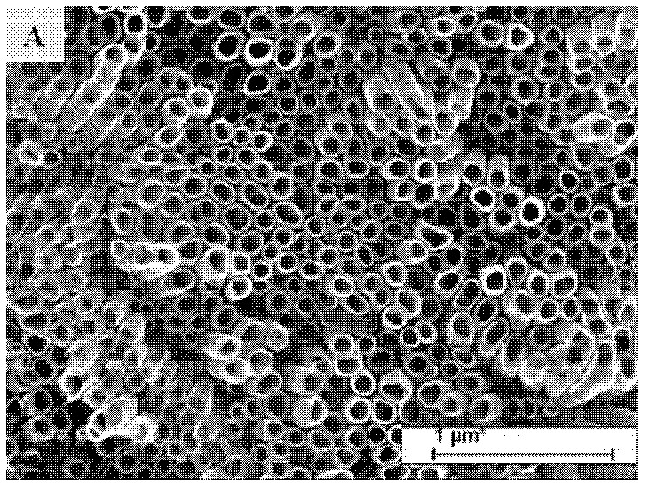 Method for preparing titanium dioxide nanotube array