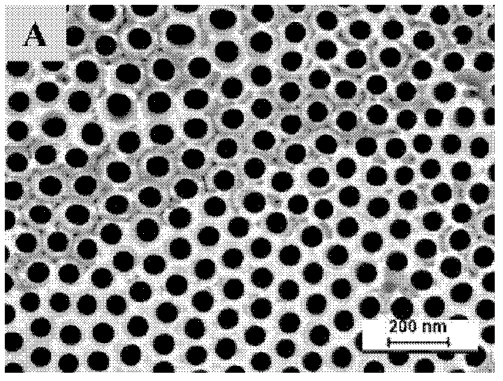 Method for preparing titanium dioxide nanotube array