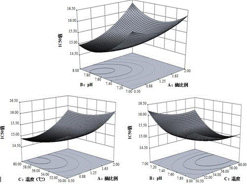 Preparation method of kelp micromolecular ACE inhibitory peptides with Tyr (tyrosine) at C tail end