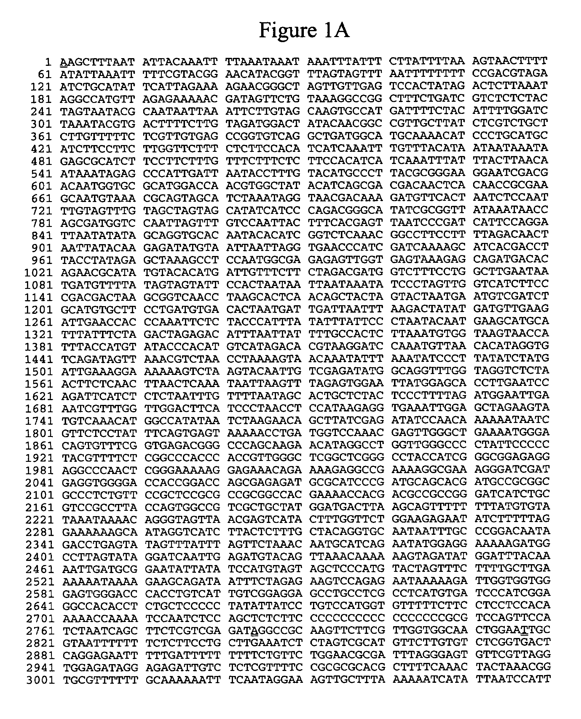 Promoter from the rice triosephosphate isomerase gene OsTPI