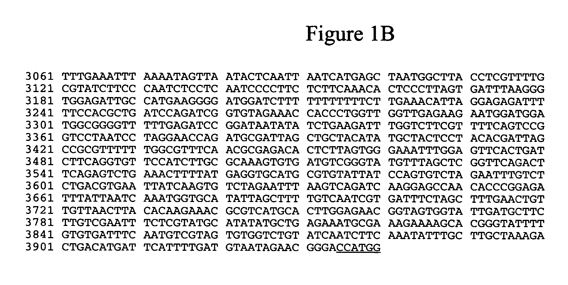 Promoter from the rice triosephosphate isomerase gene OsTPI