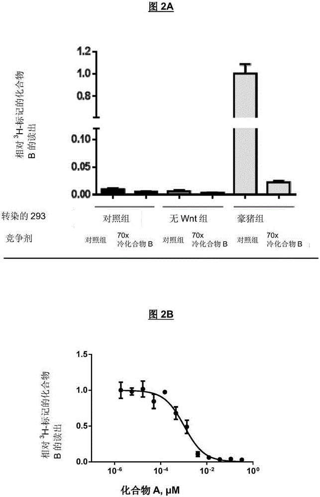 Markers associated with wnt inhibitors