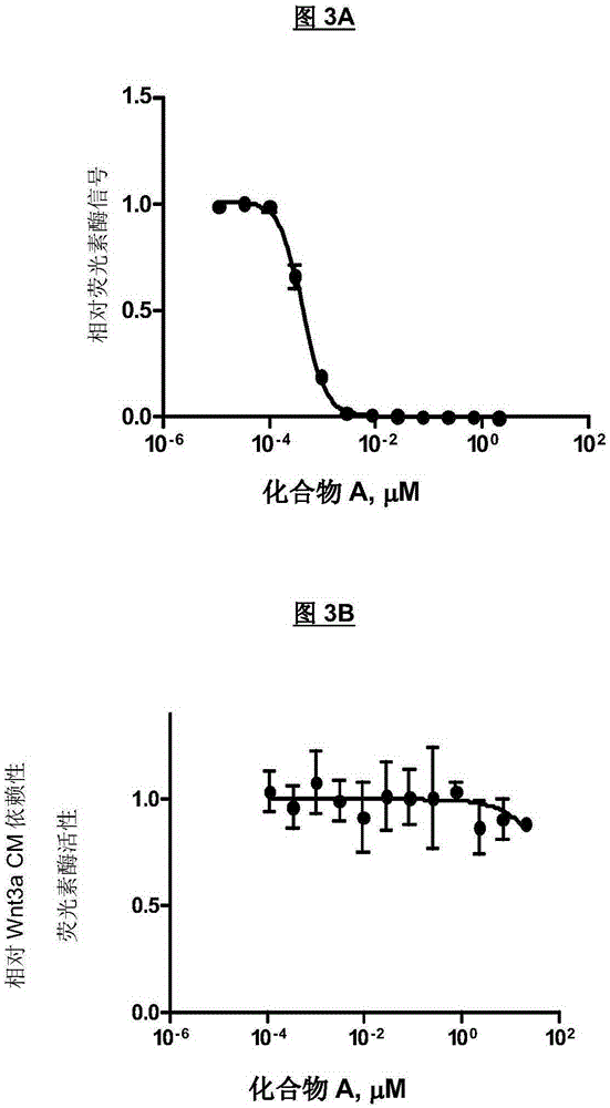 Markers associated with wnt inhibitors