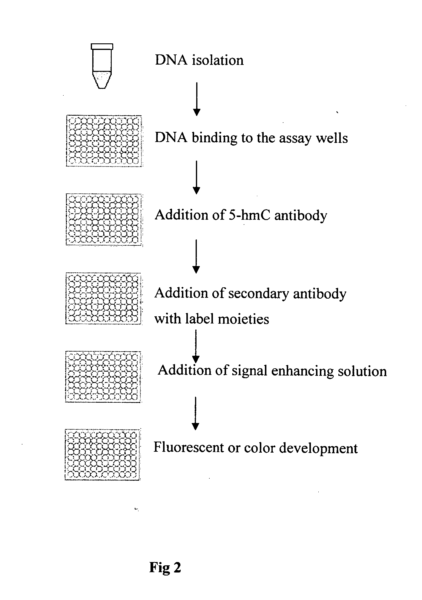 5-Hydroxymethylcytosine as a biomarker for early detection, treatment and prognostic monitoring of cancer