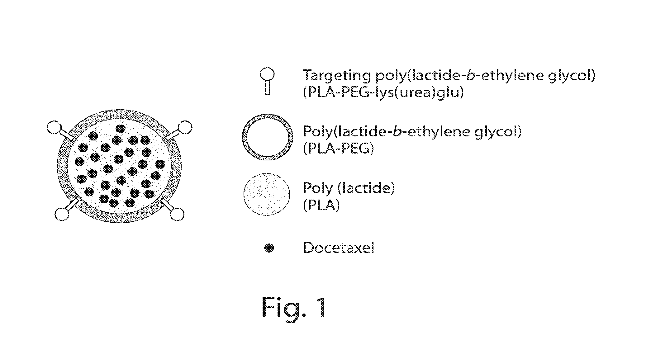 Long circulating nanoparticles for sustained release of therapeutic agents