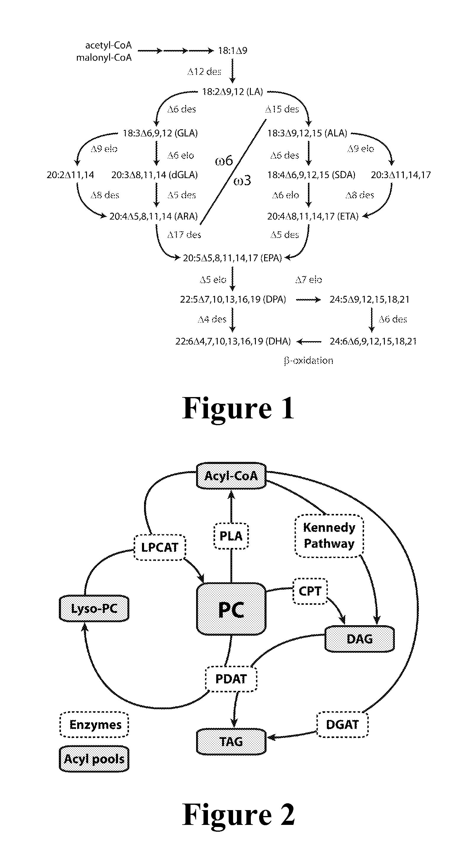 Enzymes and methods for producing omega-3 fatty acids