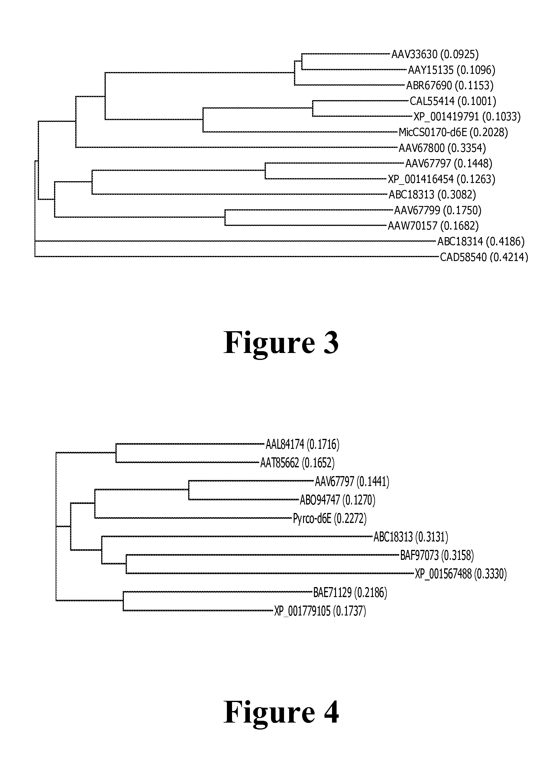 Enzymes and methods for producing omega-3 fatty acids