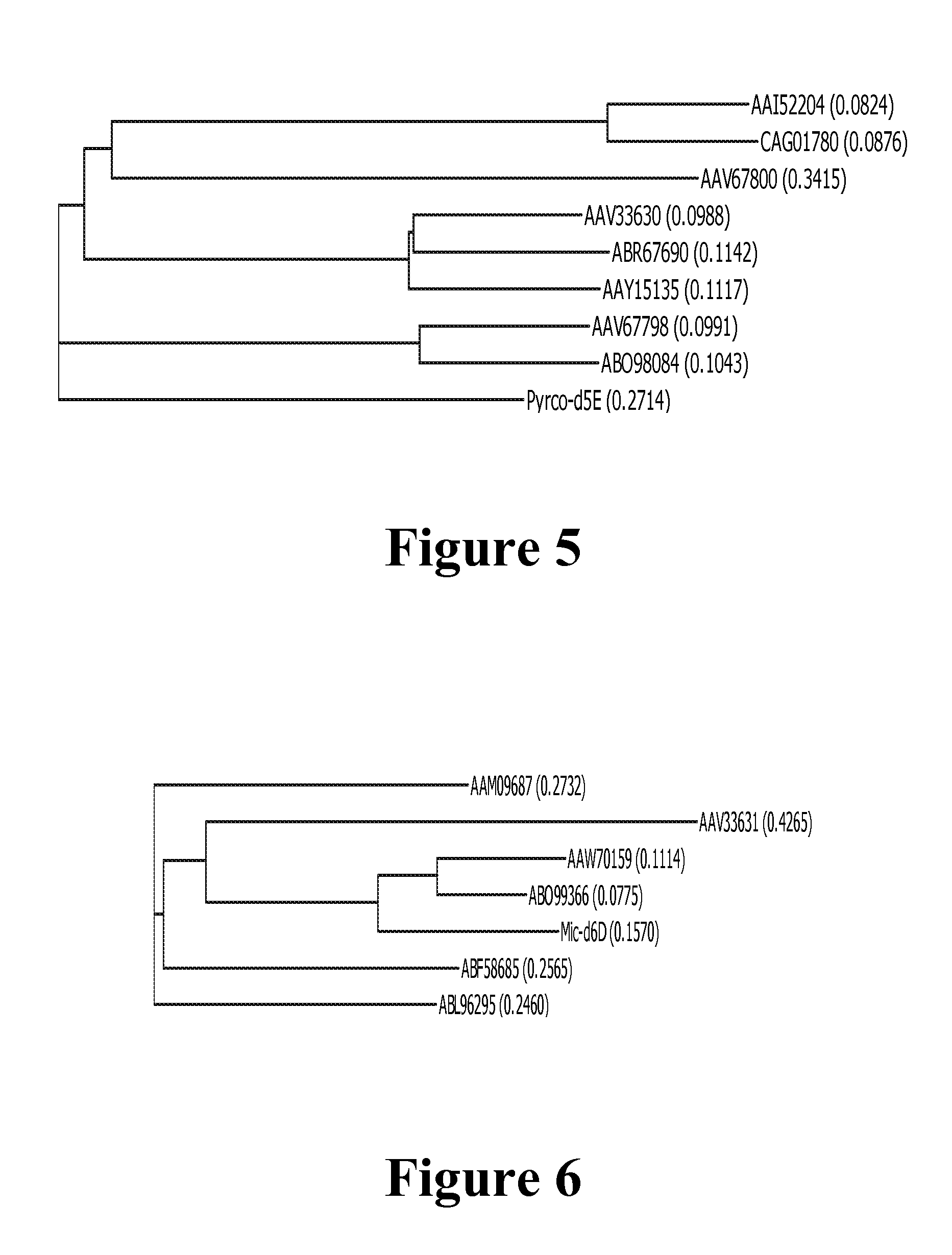 Enzymes and methods for producing omega-3 fatty acids