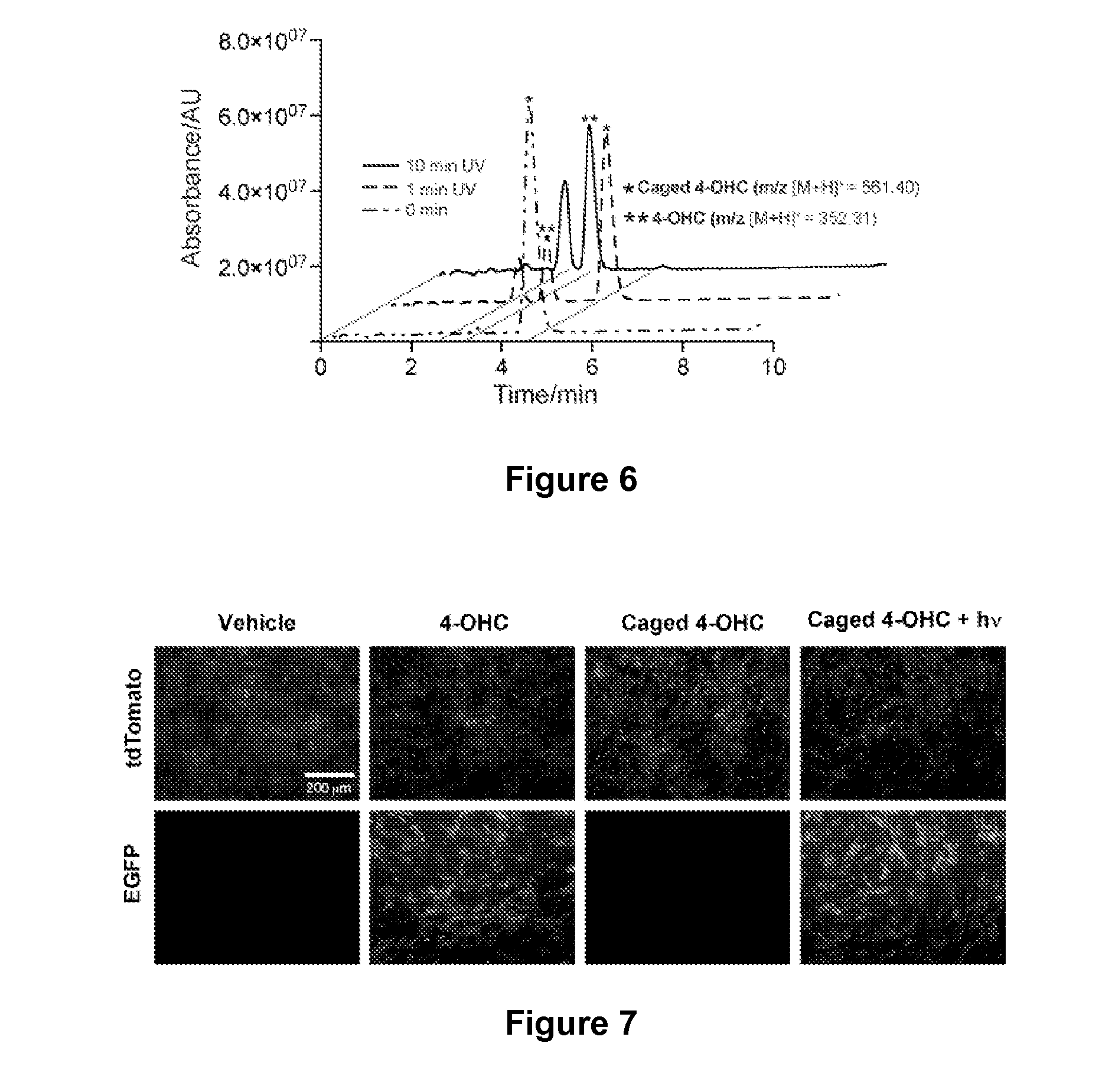 Photoactivatable caged tamoxifen and tamoxifen derivative molecules and methods of use thereof