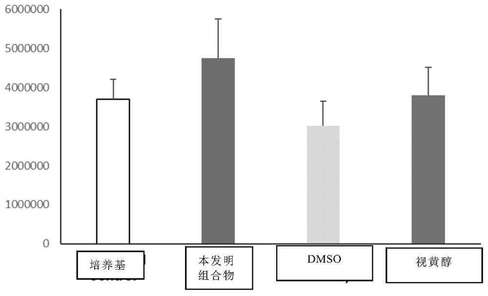 Anti-aging composition for increasing dermal collagen protein mass and maintaining fibroblast morphology and application of anti-aging composition