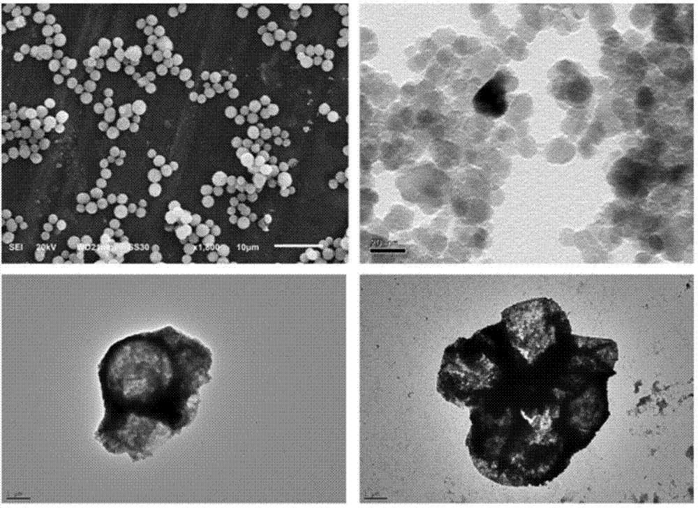 Method for preparing supermolecule capsule with multiple drug release stimulation and MRI radiography ability