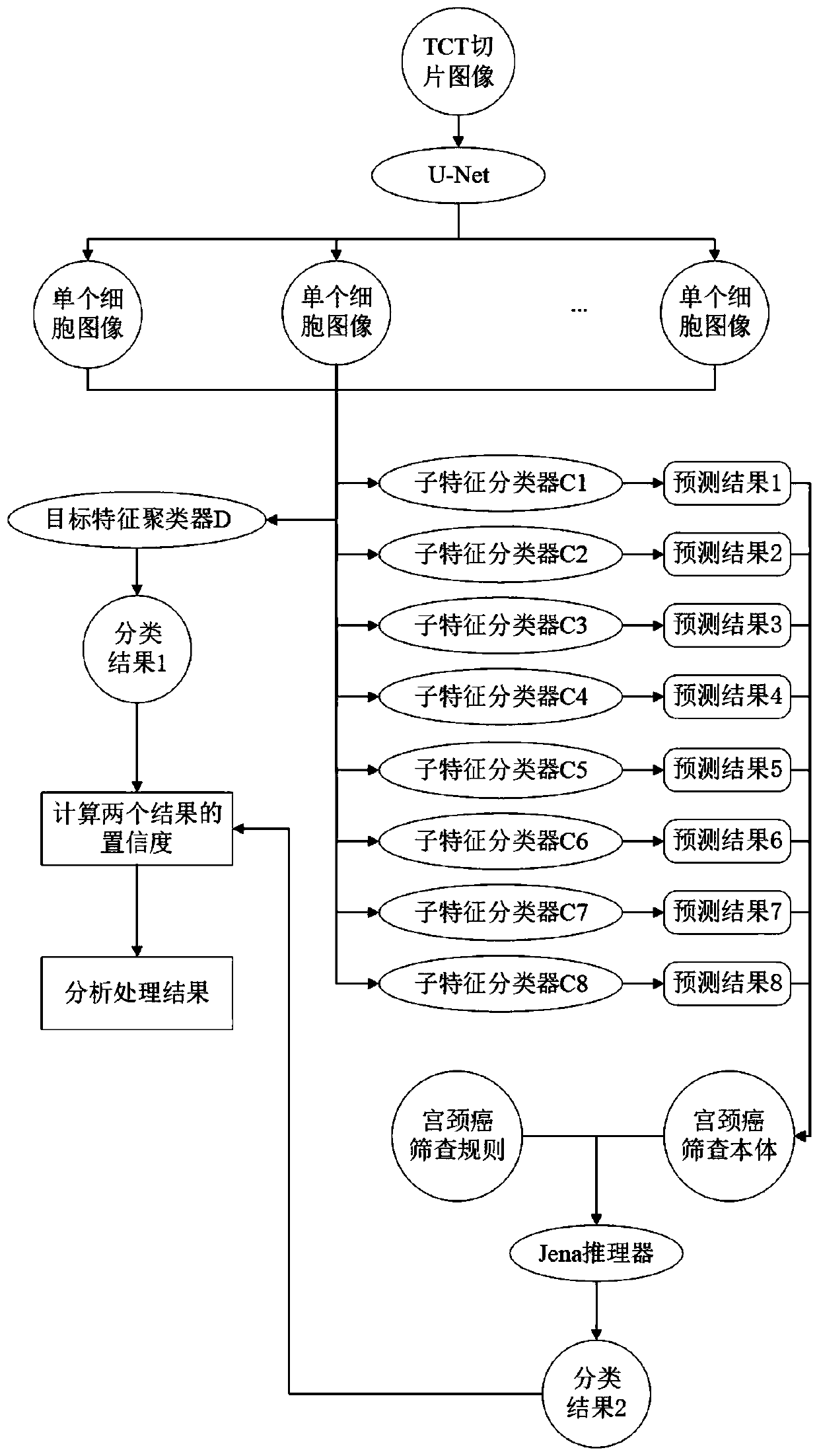 Decision classification method for fusion reasoning and learning of liquid-based cytological examination