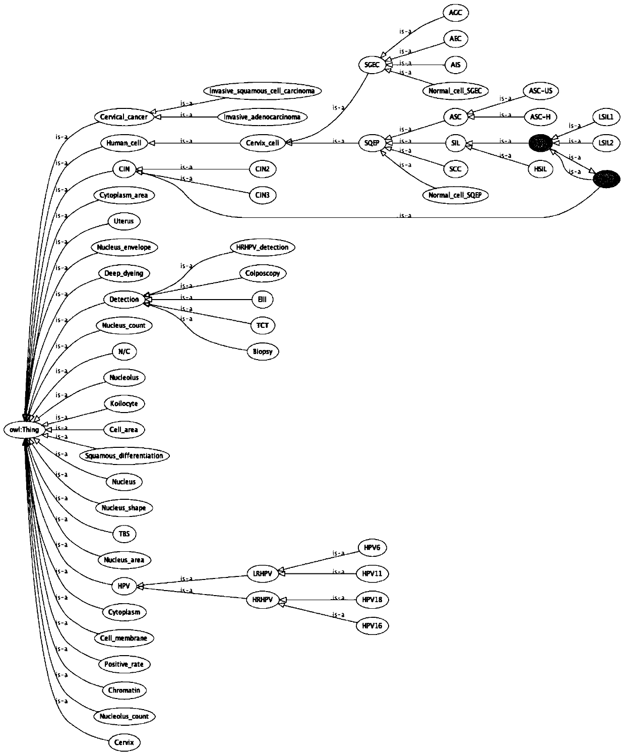 Decision classification method for fusion reasoning and learning of liquid-based cytological examination