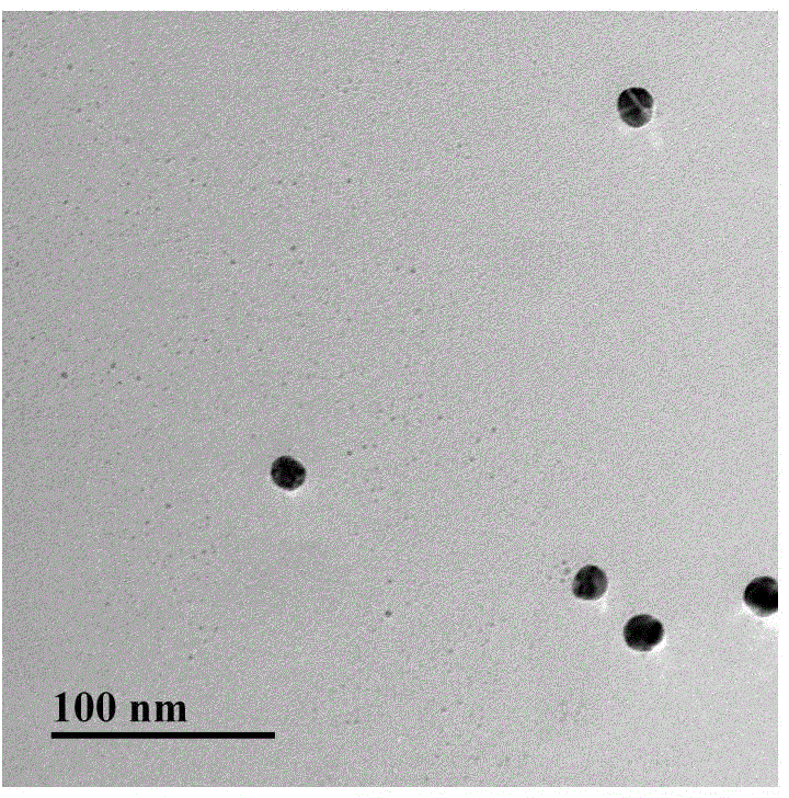Method for detecting bisphenol A based on quantum dot-gold nanoparticle self-assembled superstructure