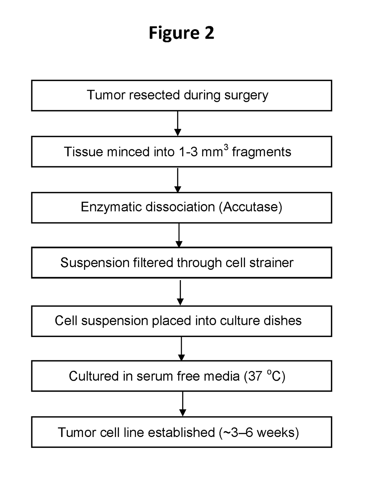 Methods and panels of compounds for characterization of glioblastoma multiforme tumors and cancer stem cells thereof