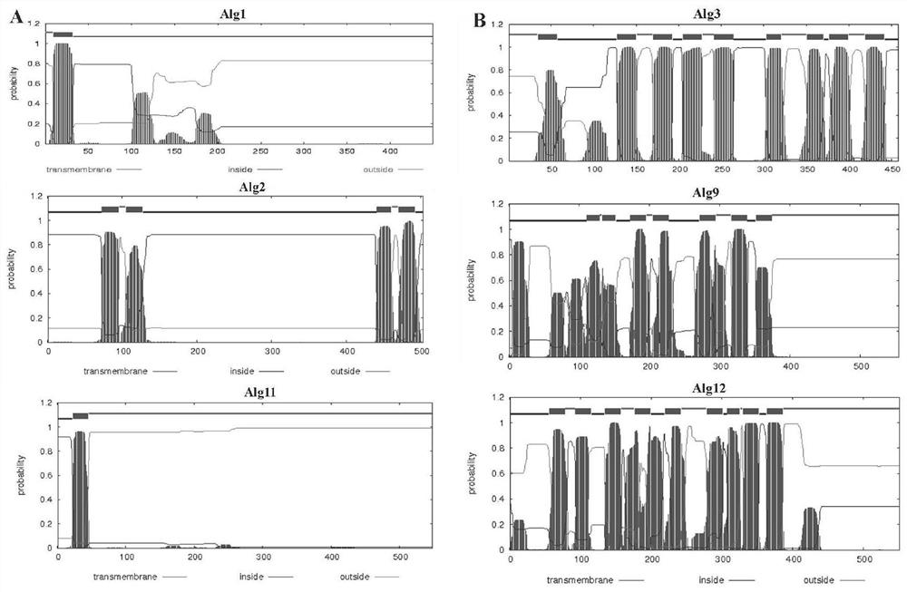 A kind of preparation method of high mannose type oligosaccharide linked by phytanol