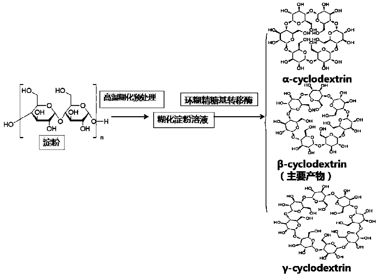 Genetic engineering bacterium of expression high-specificity beta cyclodextrin glycosyltransferase and construction method and application of genetic engineering bacterium