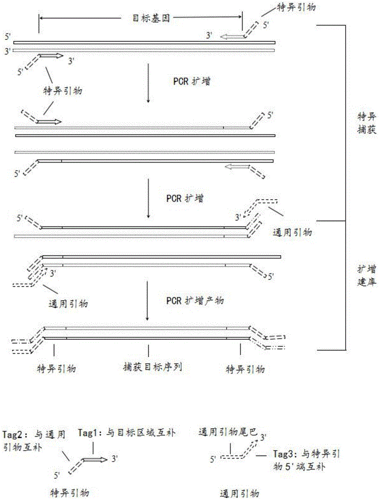 Multiple PCR specific primers, kit and method for detecting hereditary hearing loss gene based on high throughput sequencing technique, kit and method