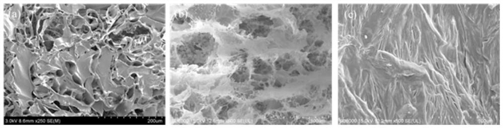 Light and heat storage type composite phase change material for energy storage and preparation method of light and heat storage type composite phase change material