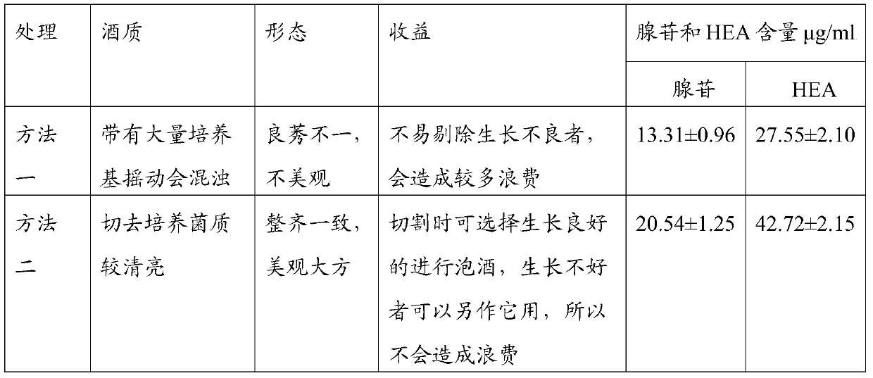 A kind of beautiful preparation method of cordyceps militaris wine