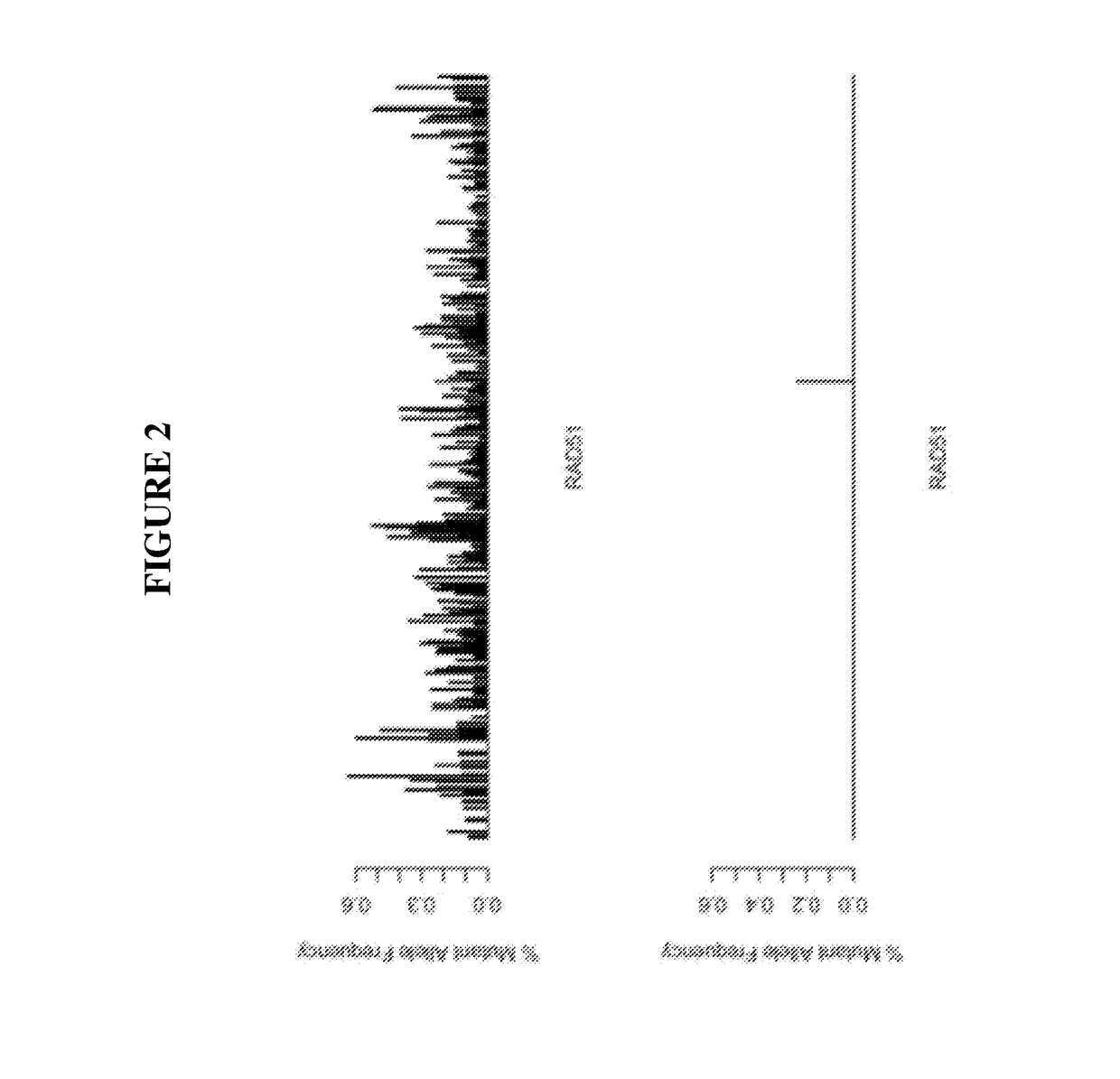 Diagnostic assay for urine monitoring of bladder cancer