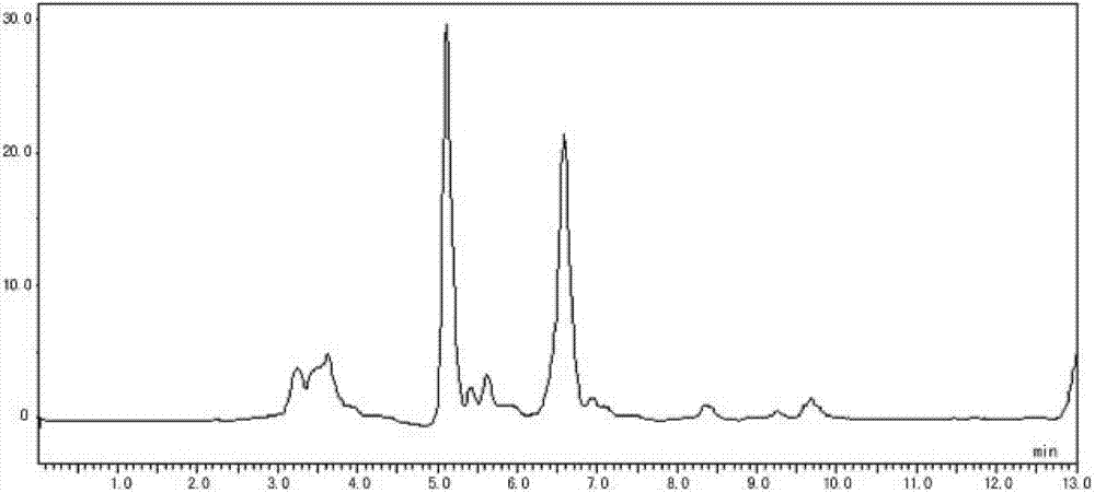 Enrofloxacin injection and preparation method thereof