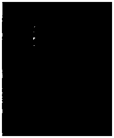 Structural color super-hydrophobic coating and preparation method thereof