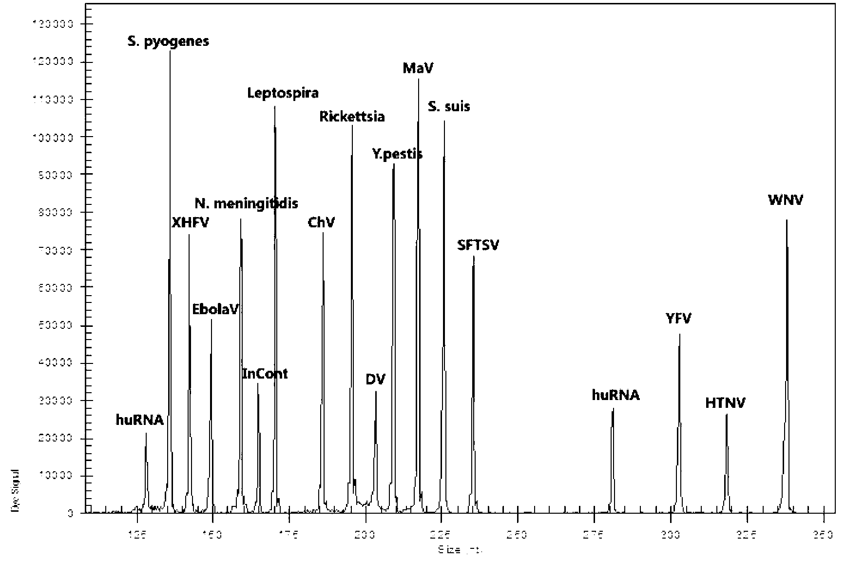 Kit for synchronously detecting fifteen hemorrhagic fever pathogens and detection method of kit