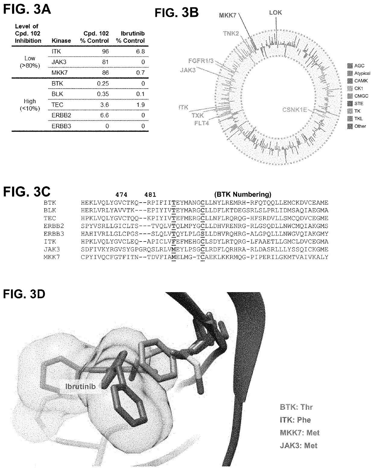 Modulators of btk proteolysis and methods of use