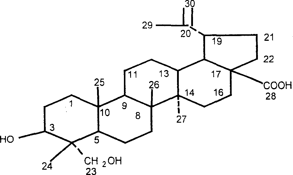 Iodine (I)-23-hydroxyl betulinic acid, rpeparation method and application thereof