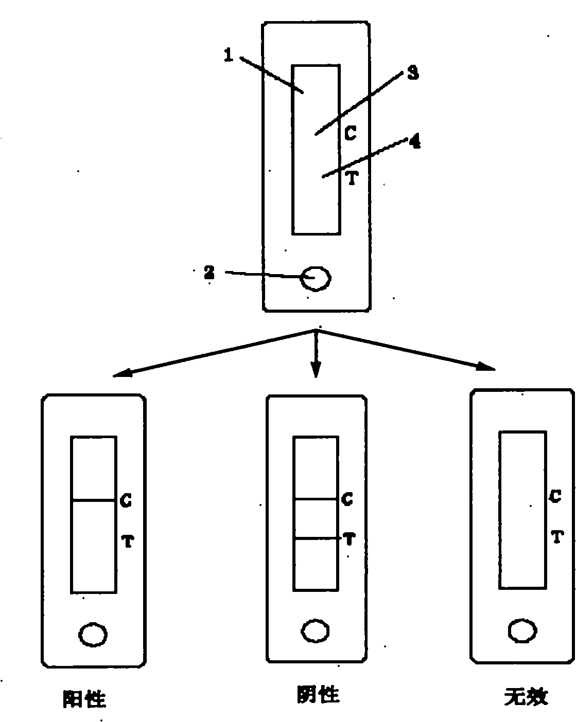 Malachite green collaurum detection card and production and application methods thereof