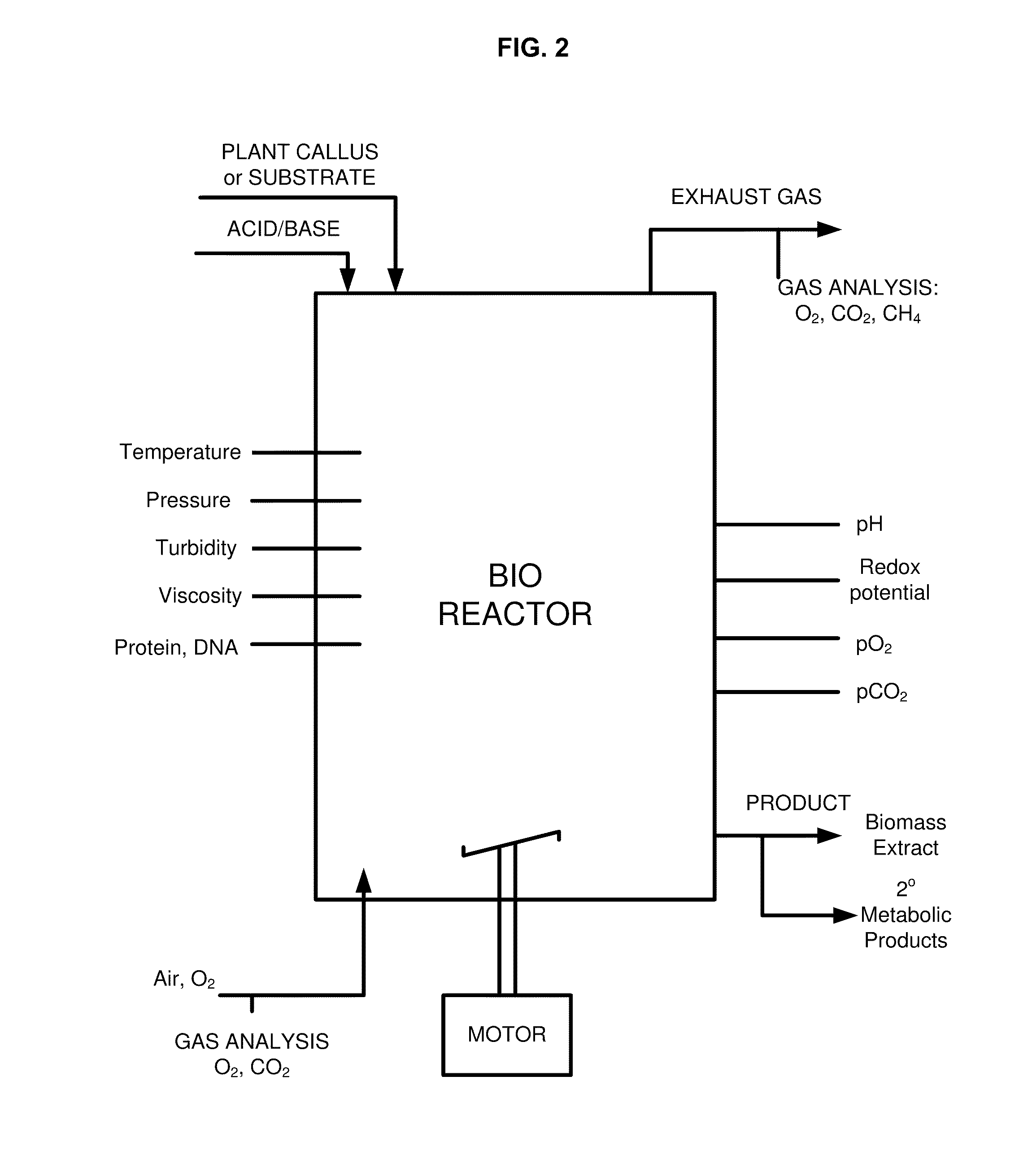 Methods and compositions for identifying, producing and using plant-derived products for modulating cell function and aging