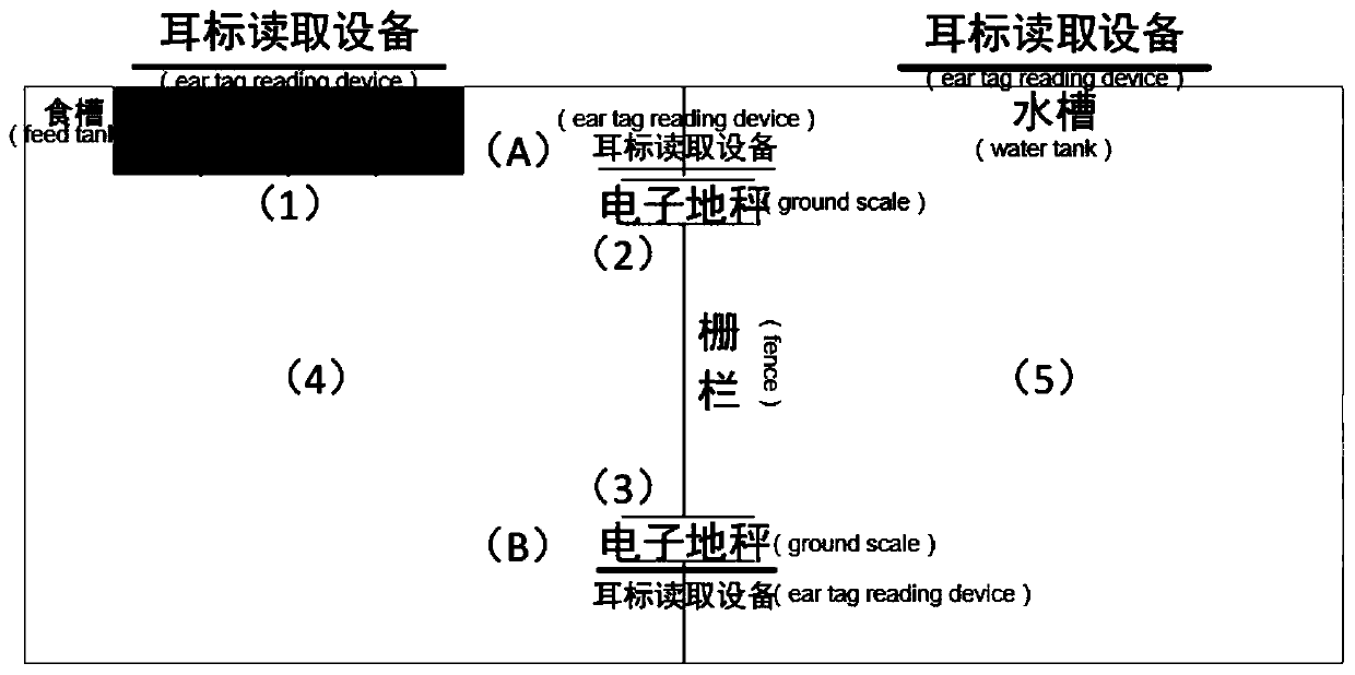 Method and device of intelligent pig group housing and weighing, electronic equipment and storage medium