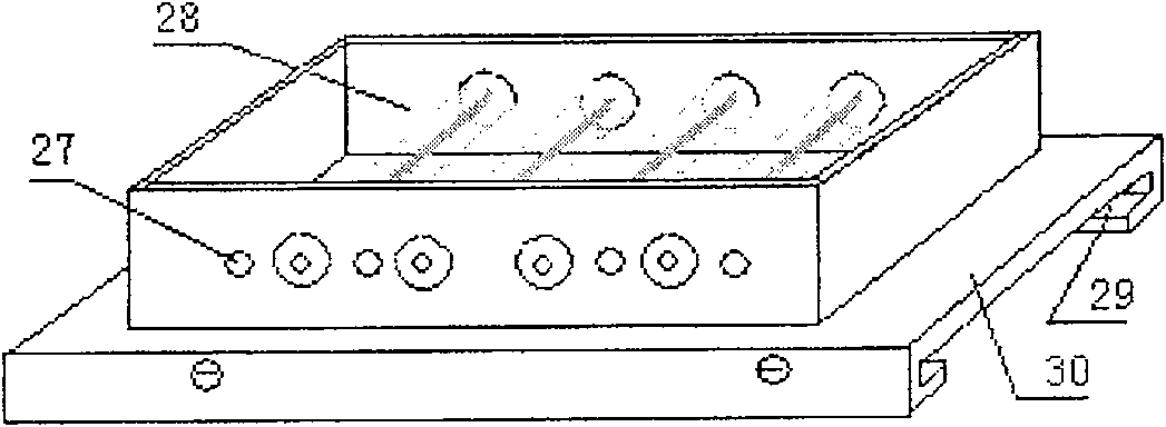 Film preparation device and observation method for film growth