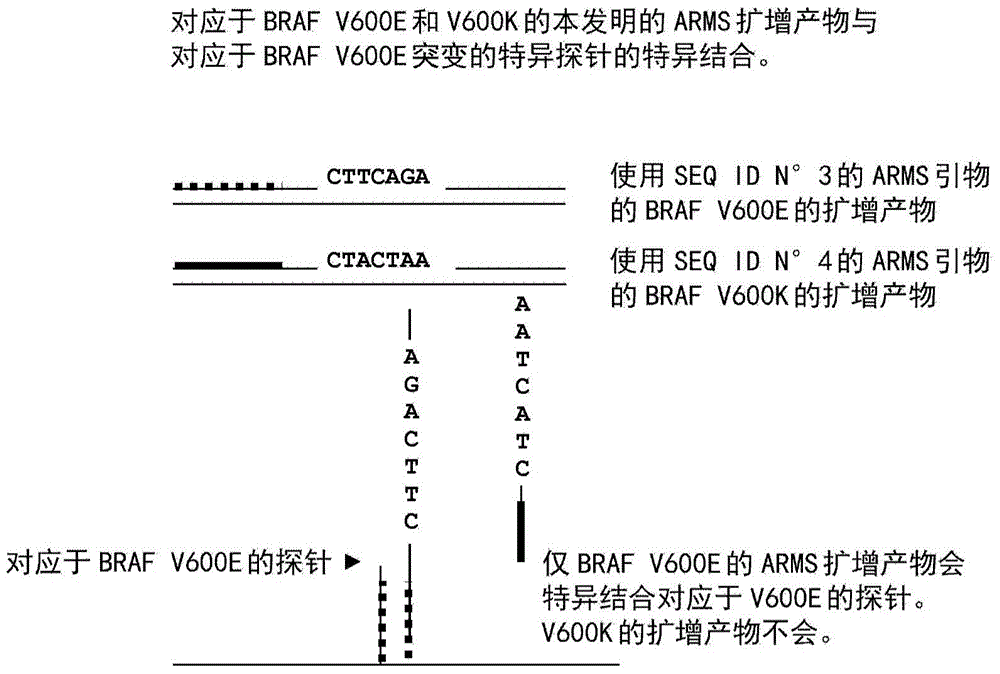 Method for detection of BRAF and PI 3K mutations