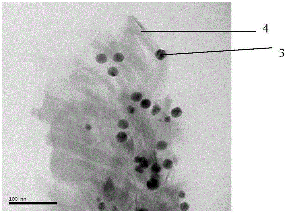 Antibacterial polypropylene and a preparing method thereof