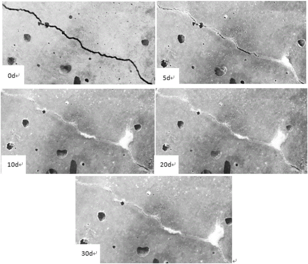 Surface pre-coating method for crack self-repairing of cement-based material