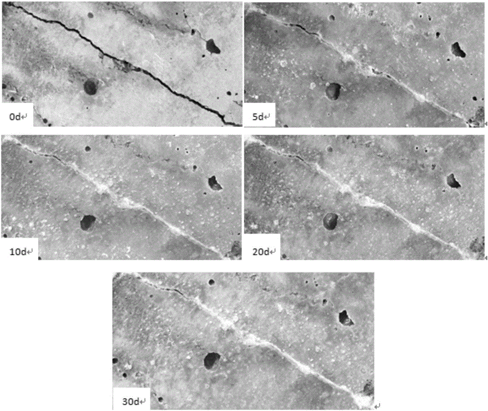 Surface pre-coating method for crack self-repairing of cement-based material