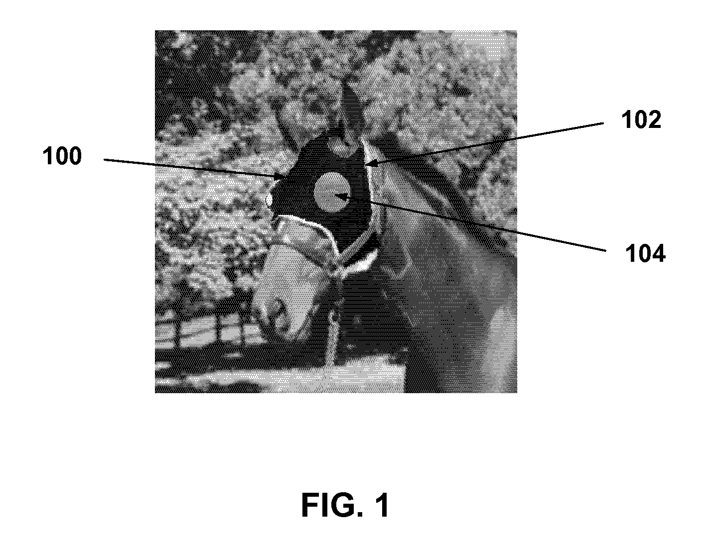 Laser Safety Goggles for Animals