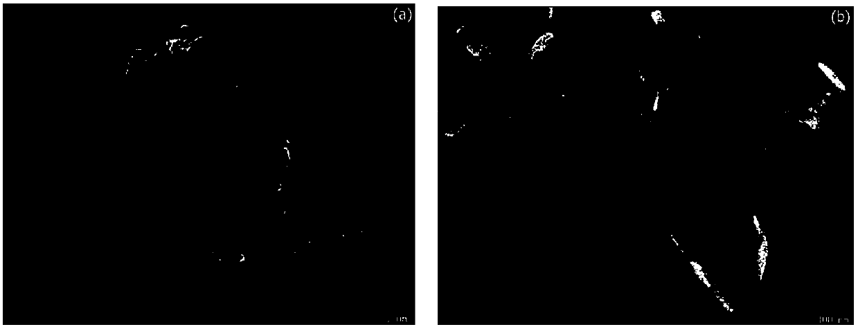 Nitrogen-doped graphene/cobalt-iron hydrotalcite bifunctional oxygen catalyst and its preparation method and application