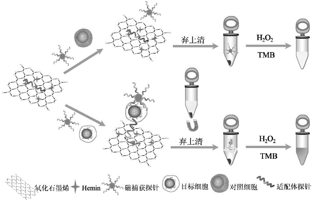 Biosensing method for detecting leukemia by graphene/mimetic peroxidase double-signal amplification