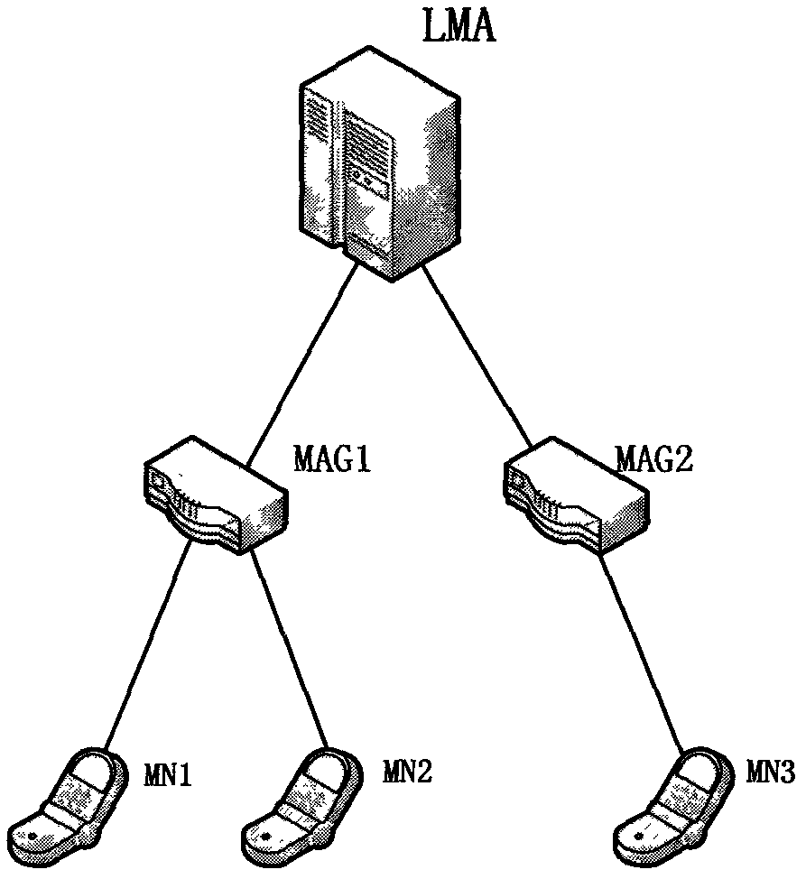 Agent mobile IPv6 (Internet Protocol Version 6) inter-domain switching method based on network mobility management