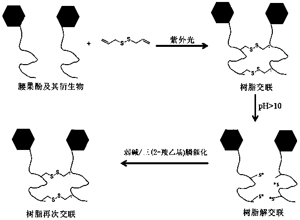 Controllable and reversible cross-linked cardanol resin and preparation method thereof