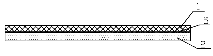 Plastic composite sheet and its producing method