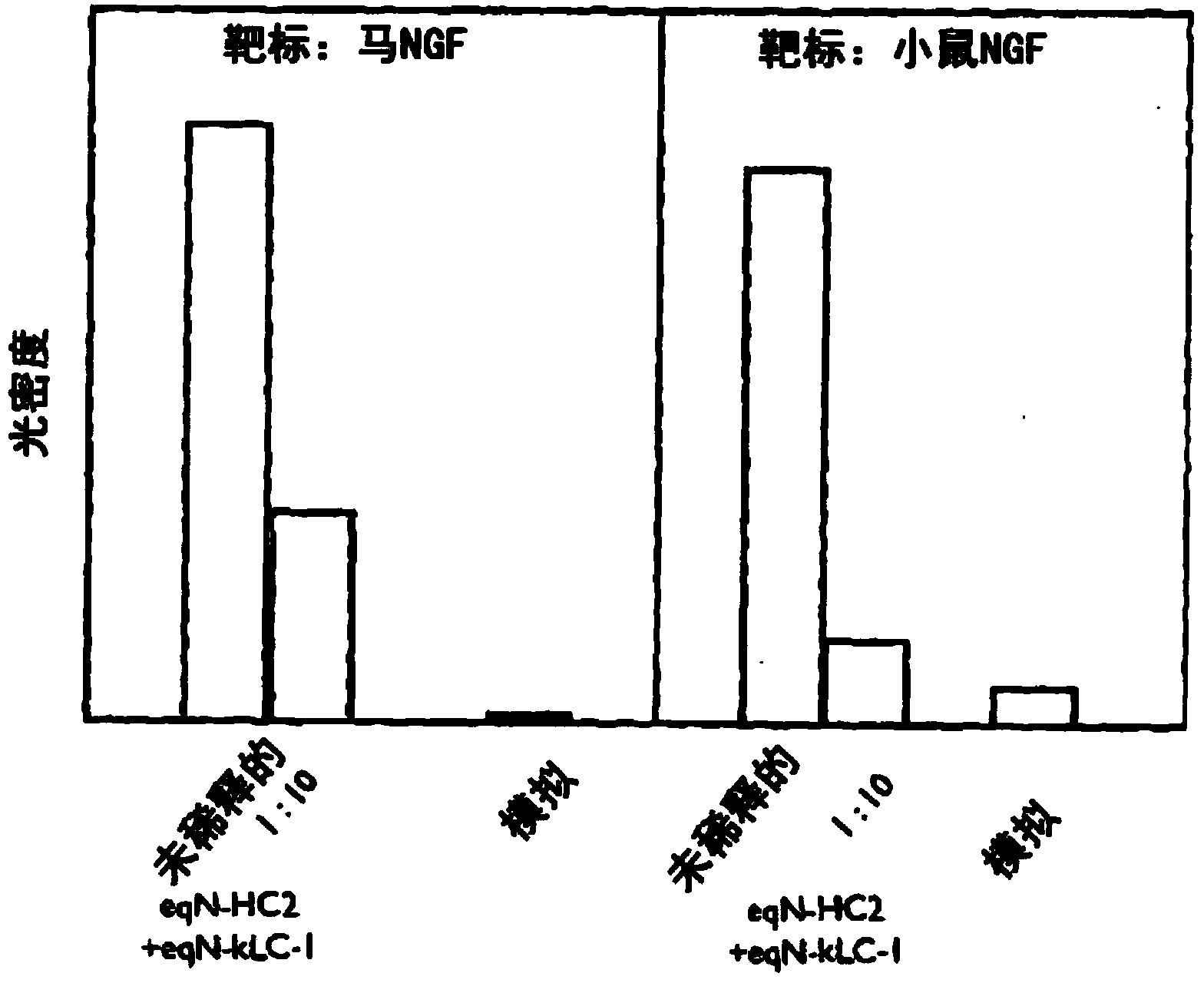 Anti-nerve growth factor antibodies and methods of preparing and using the same