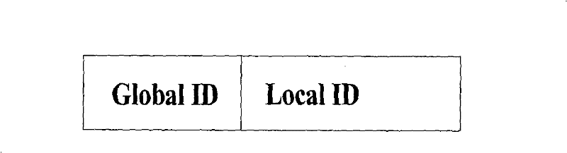 Method for implementing integrated network home domain information diffusion