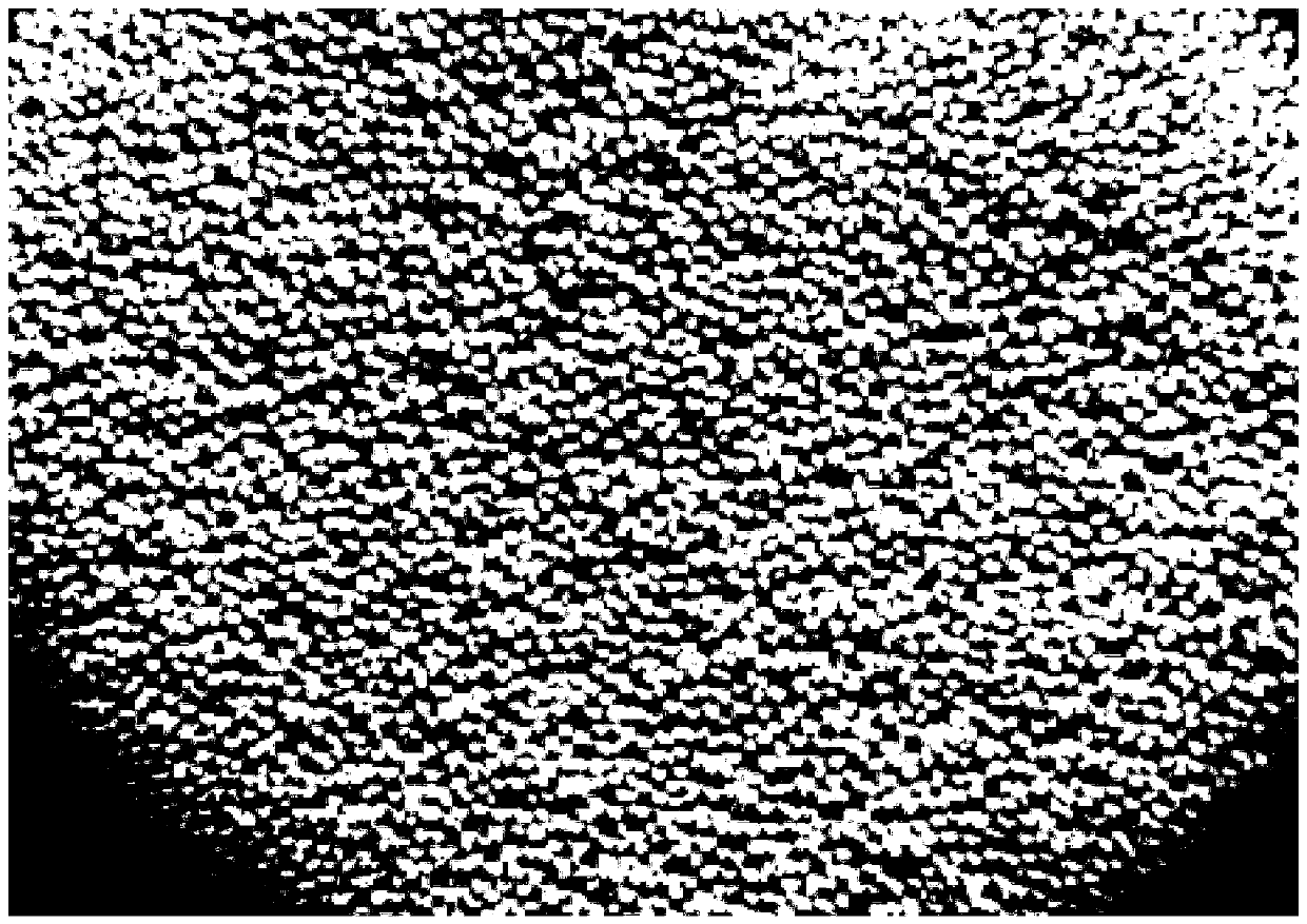 Preparation method of trace rear earth ion-containing spherical MFI topological structured all-silicon molecular sieve catalyst and preparation method of caprolactam