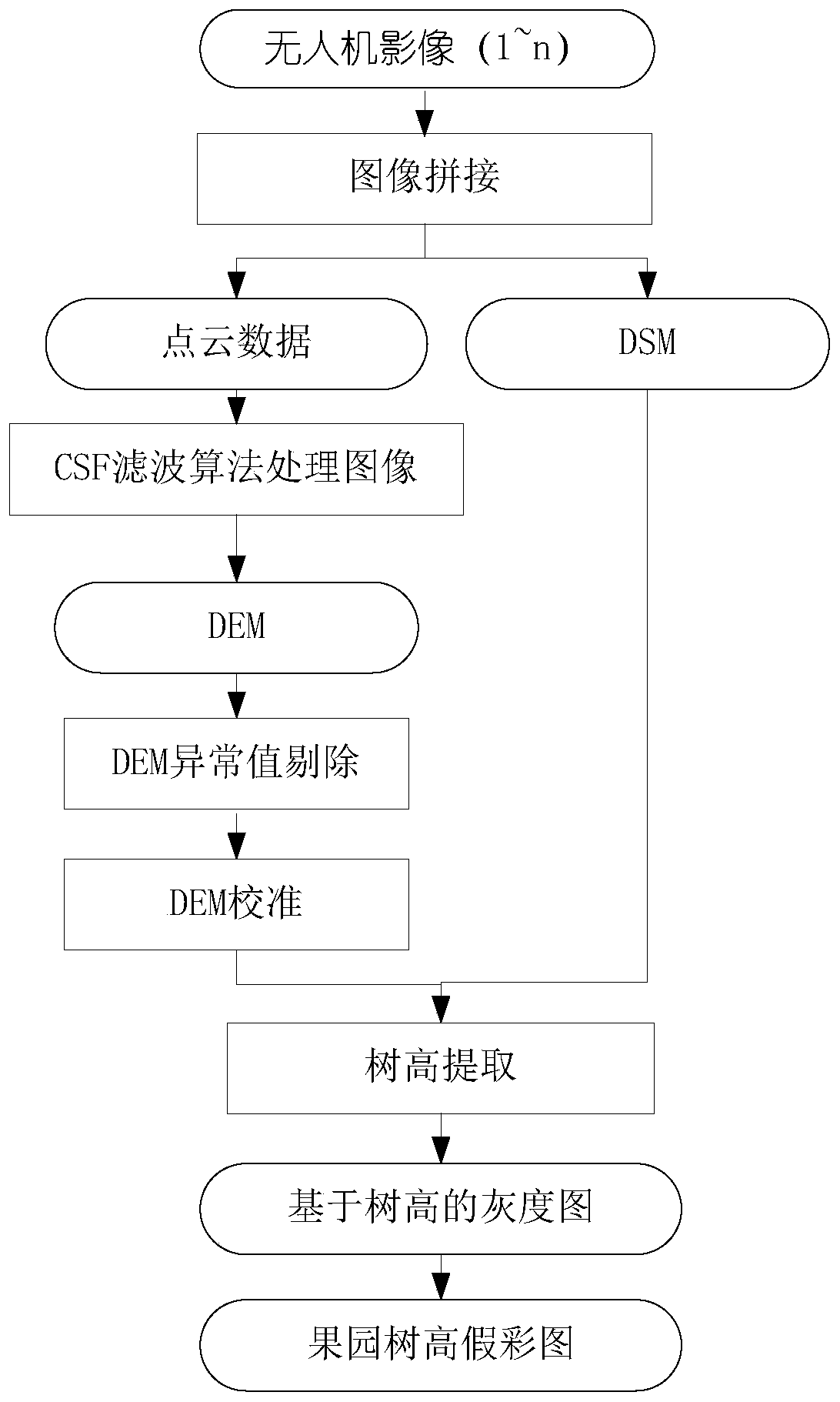 Fruit tree identification and quantity monitoring method and system based on unmanned aerial vehicle data acquisition